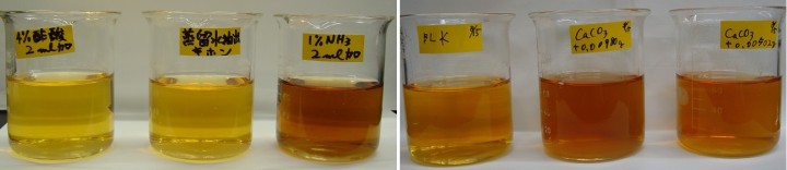 写真１　ｐHの違いよる紅茶の着色。（右）アンモニア水添加　（中）蒸留水　（左）酢酸添加　　　　　　　　　　　　　　　　　　　　写真２　硬度分の違いによる紅茶の着色。（右）0.5％炭酸カルシウム液　（中）約1％炭酸カルシウム液　（左）蒸留水