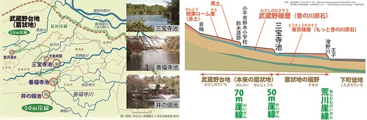 図4　50m崖線と武蔵野三大湧水　　　　　　　　　　　　　　　図5　50m崖線の形成（模式図）