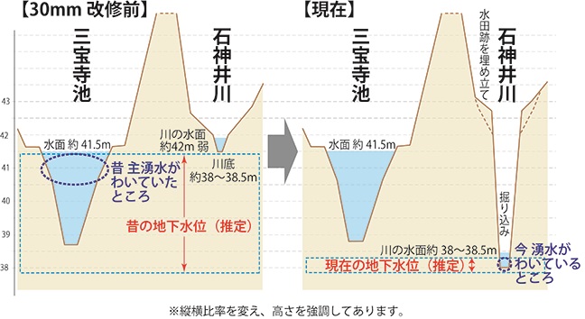 図9　三宝寺池と石神井川の水面の位置関係