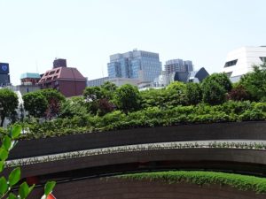 写真2　三井住友海上駿河台ビルの低層棟にある屋上庭園は自由に見学できる。平日10:00～17:00（11月～3月は16:00）