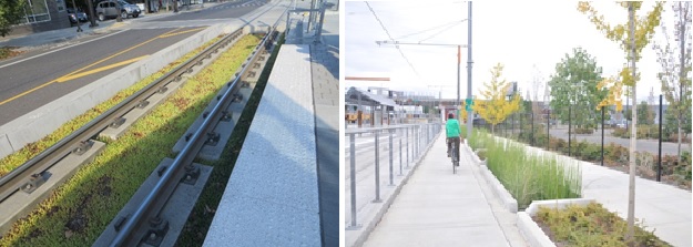 写真Ⅲ　ポートランドのグリーンインフラ（左）路面電車の緑の道。（右）グリーンストリート