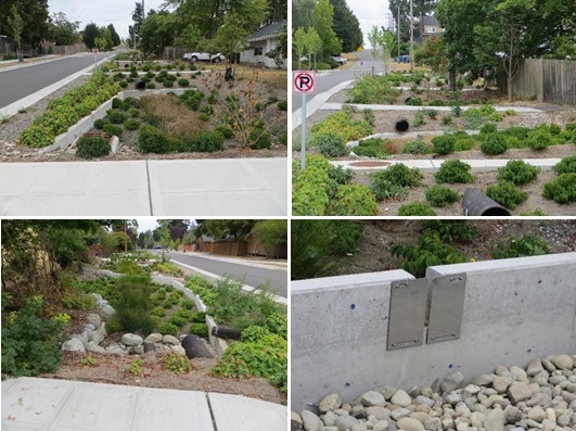 アルバムⅣ　シアトルのグリーンインフラ①　道路わきの浸透緑地（緑溝）右下の写真は雨水の越流用堰