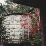 写真２　オアフ島の個人住宅のレッドシターウッド製雨水タンク（1952年製、32㎥）