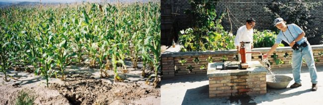 写真５　ビニールを敷いて蒸散を防ぎトウモロコシを栽培（定西地区） 写真４　一般住宅の雨水タンクから手押しポンプで水を汲み出す（東岭地区）