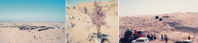 カシャーンの西に広がる約500haの流動する砂漠での試みを見学 （左）写真３　ヤシの葉の柵を並べて風をよけ砂の動きを止める （中）写真４　マメ科の植物を土管に入れて育てる （右）写真５　表面の乾燥を防いで苗木を植えるために重油のばらまく